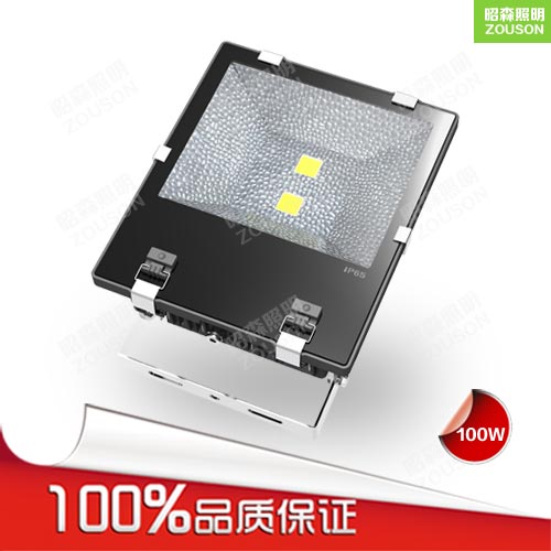 LED泛光燈100W(經典款)_應急防眩泛光燈
